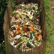 New Years Resolution with Less Waste by composting inedible food.